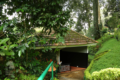 Tall Trees Munnar