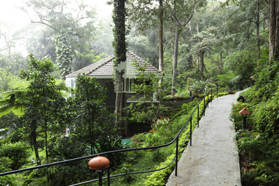 Tall Trees Munnar