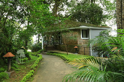 Tall Trees Munnar