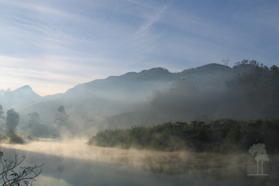 Tall Trees Munnar