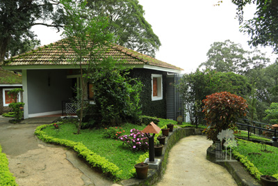 Tall Trees Munnar