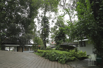 Tall Trees Munnar