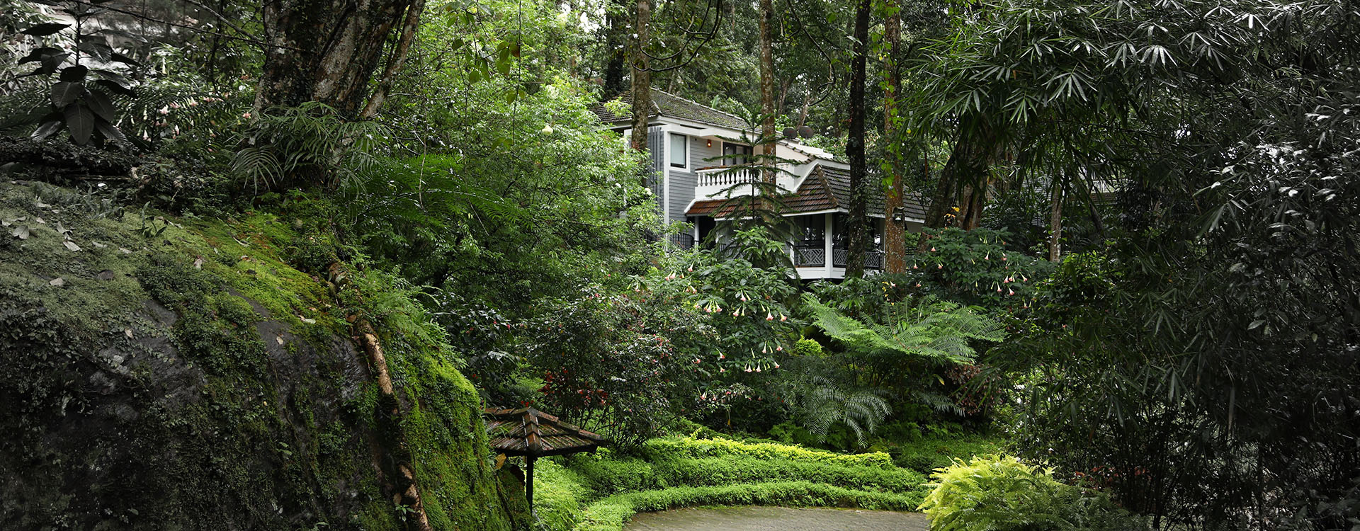 Tall Trees Munnar