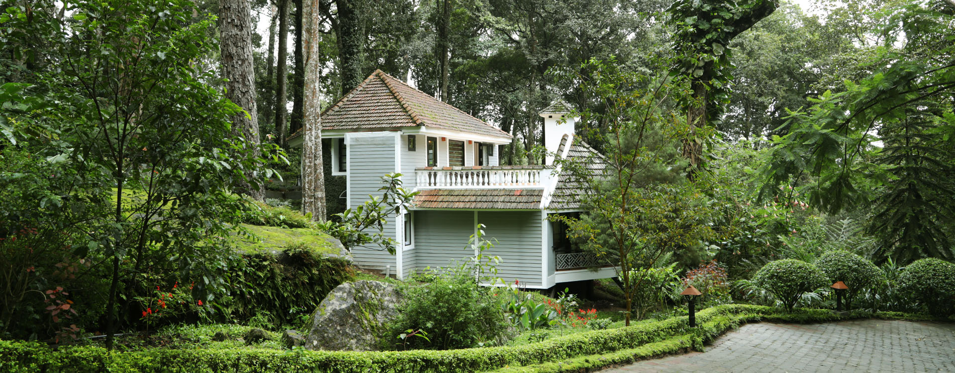 Tall Trees Munnar