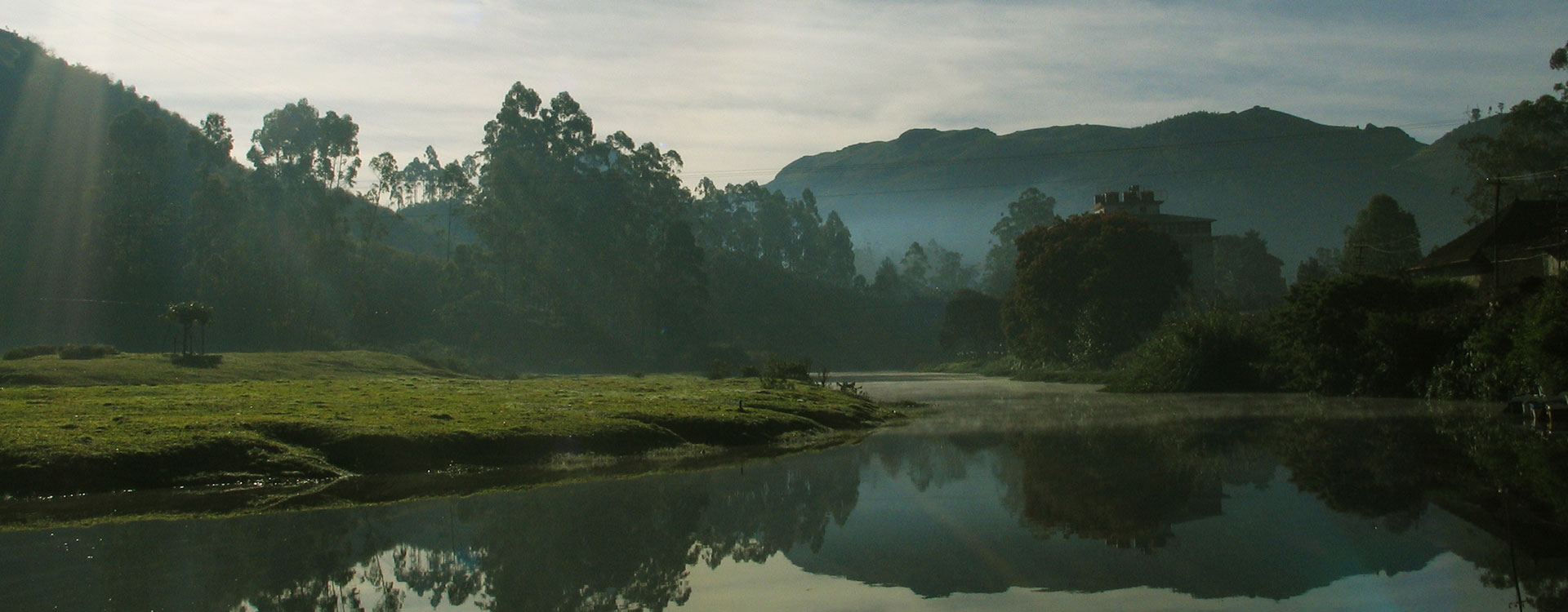 Tall Trees Munnar